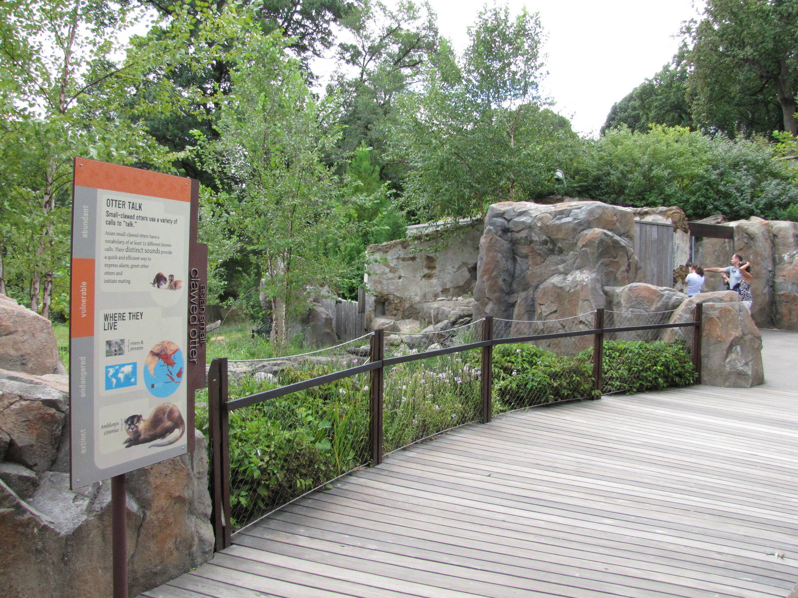 National Zoo 2010 - Front of Small-clawed Otter exhibit in Asia Trail