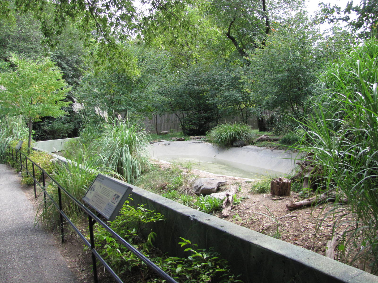 National Zoo 2010 - Giant Anteater exhibit