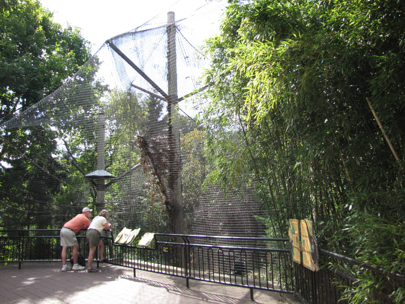 National Zoo 2010 - Gibbon Ridge