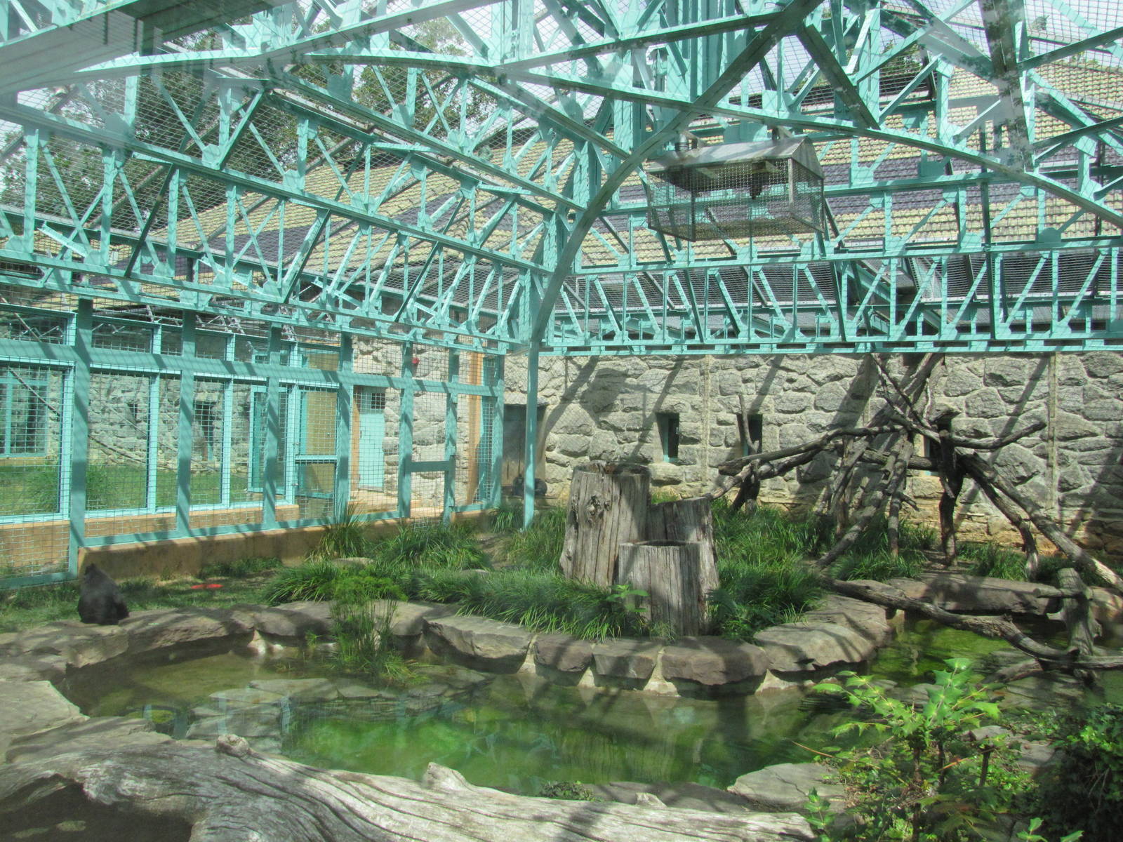 National Zoo 2010 - Indoor Sulawesi Black Macaque exhibit in Think Tank