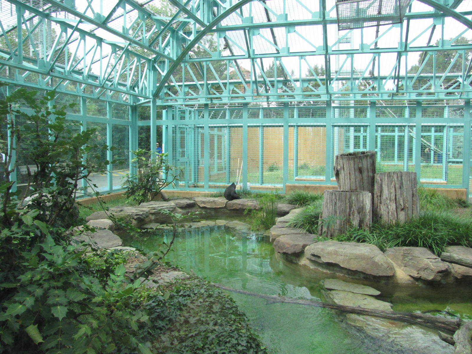 National Zoo 2010 - Indoor Sulawesi Black Macaque exhibit in Think Tank