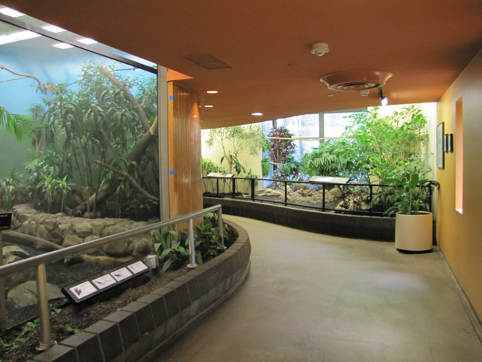 National Zoo 2010 - Inside Bird House