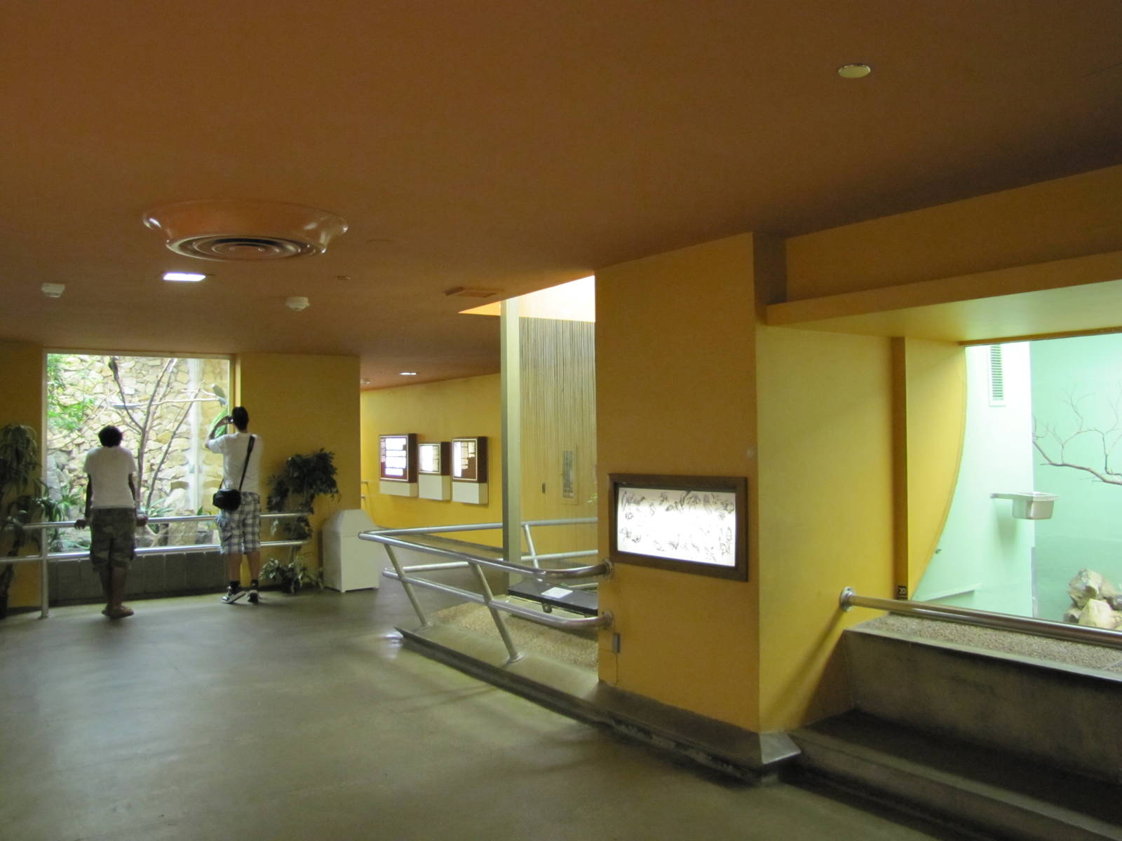 National Zoo 2010 - Inside Bird House