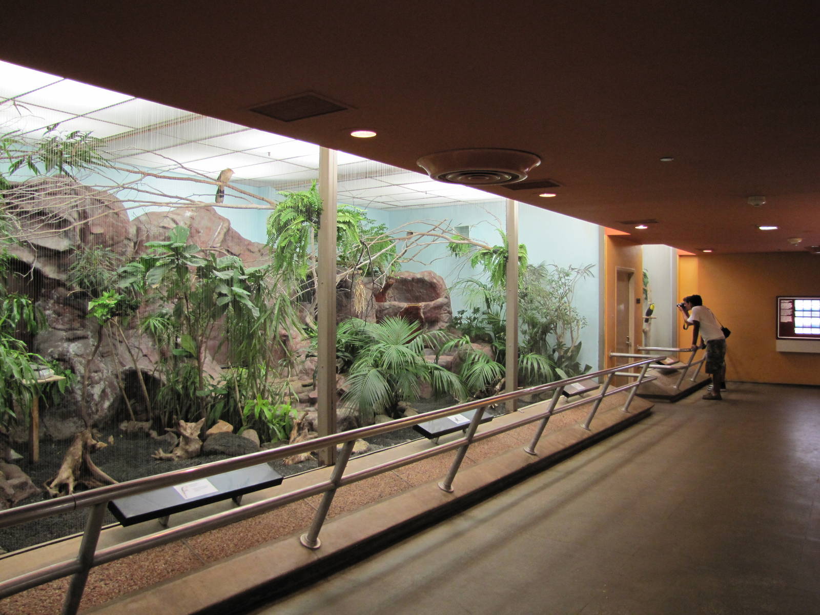 National Zoo 2010 - Inside Bird House