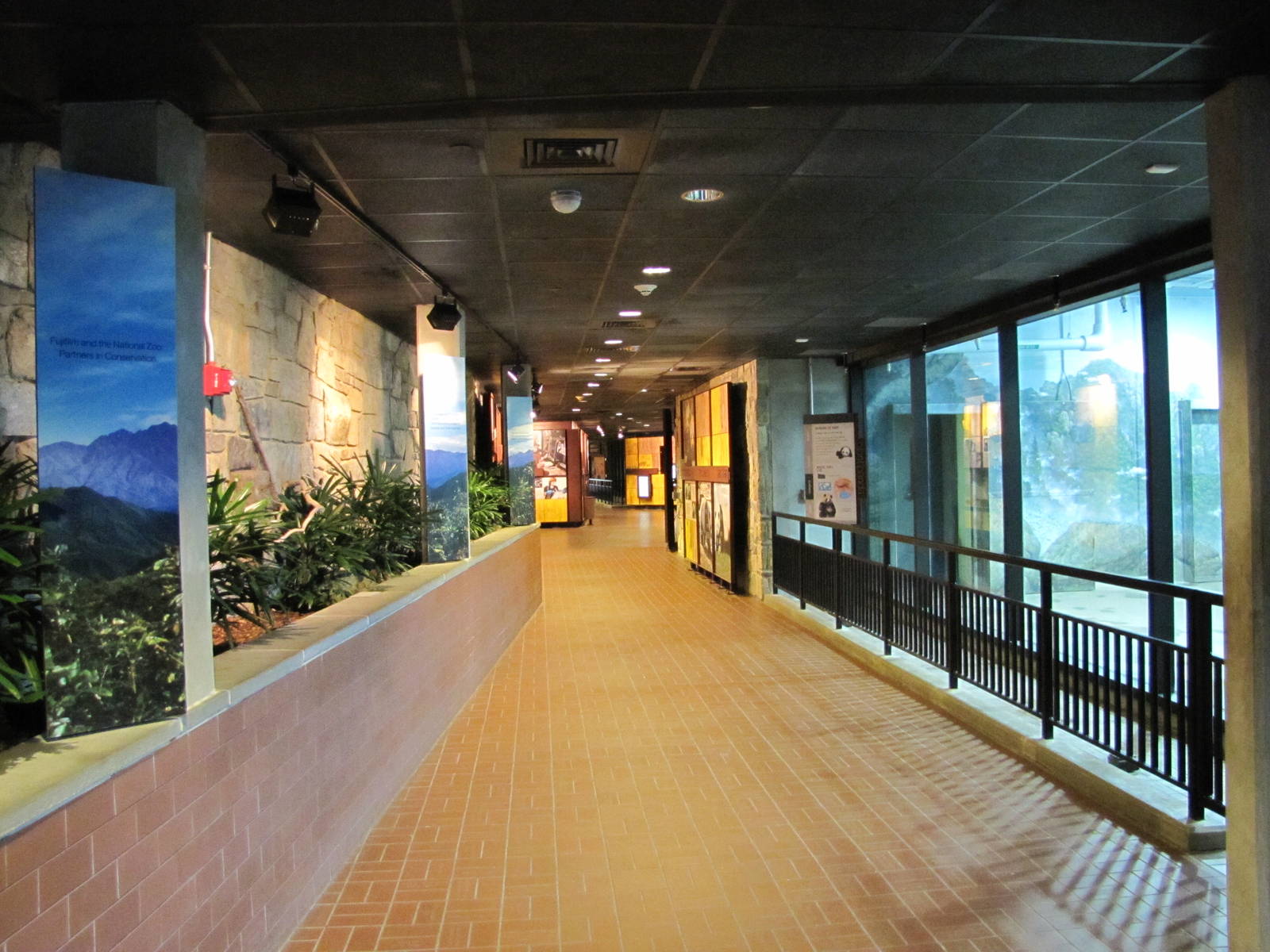 National Zoo 2010 - Inside the Fujifilm Giant Panda Habitat