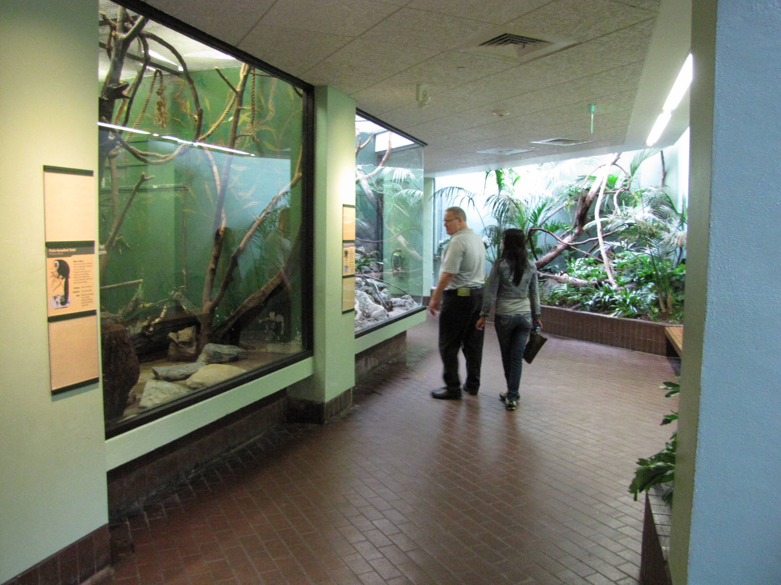 National Zoo 2010 - Inside the Small Mammal House