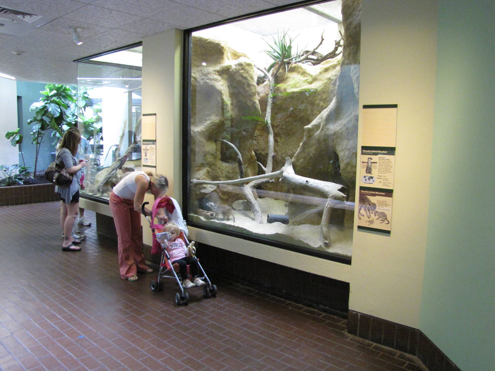 National Zoo 2010 - Inside the Small Mammal House