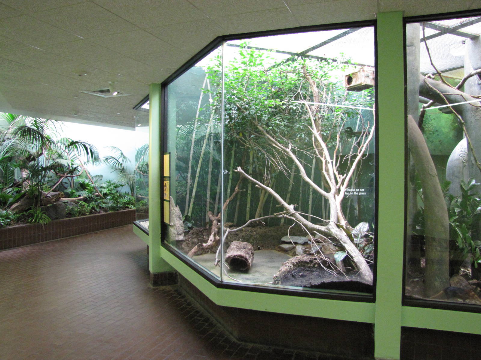 National Zoo 2010 - Inside the Small Mammal House