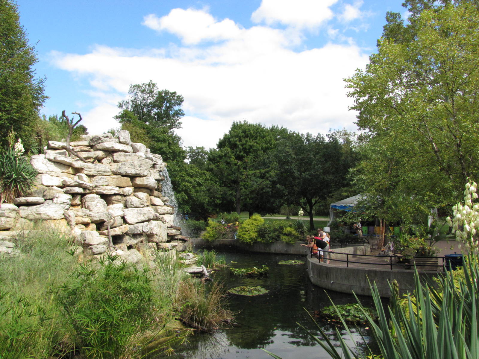 National Zoo 2010 - Lemur Island