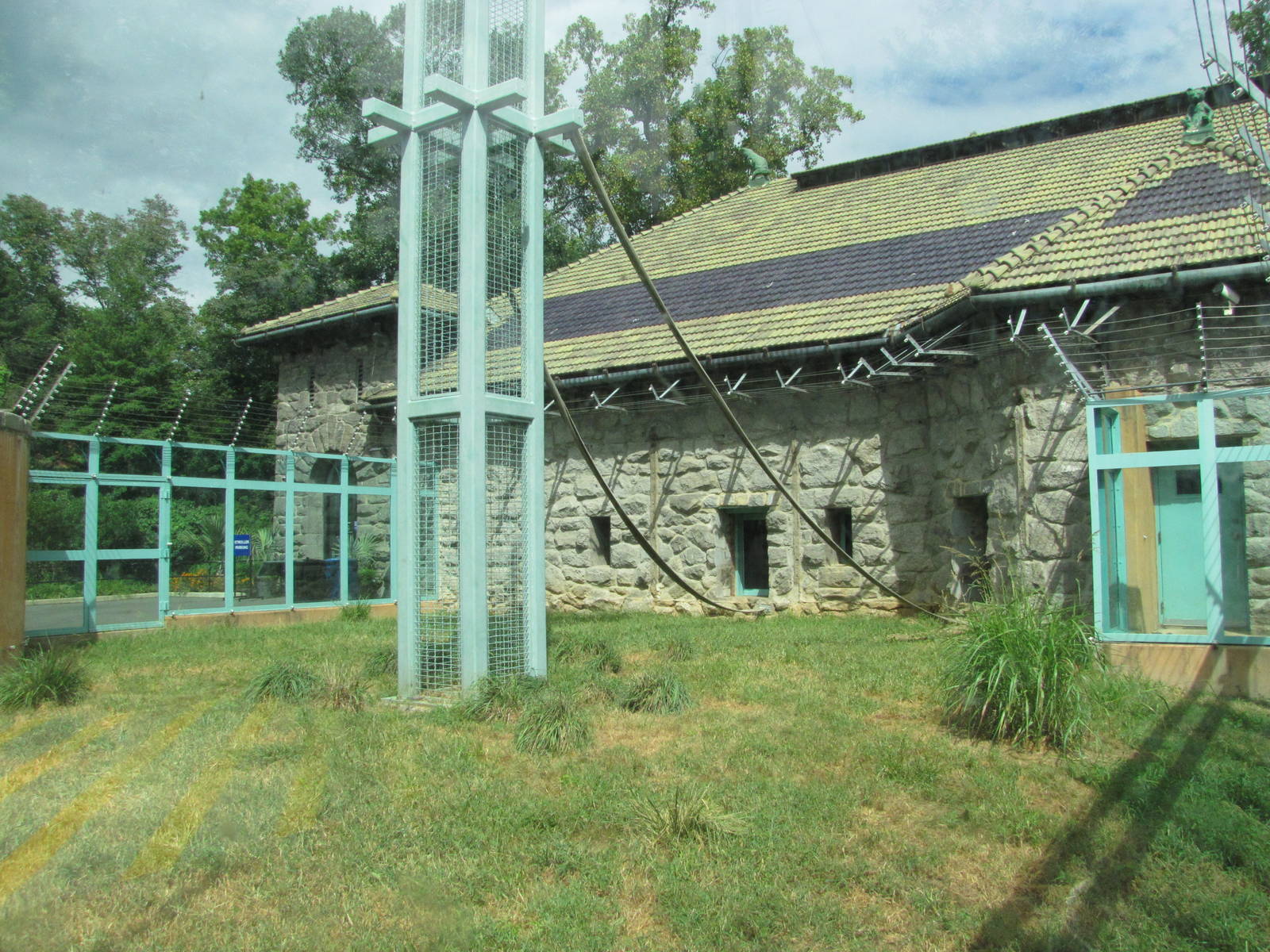 National Zoo 2010 - Outdoor Sulawesi Black Macaque exhibit in Think Tank