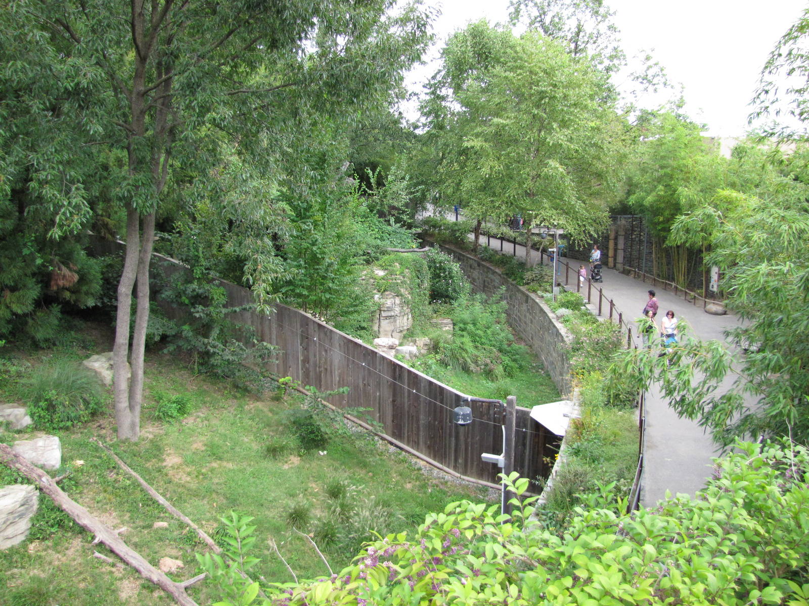 National Zoo 2010 - Part of Fujifilm Giant Panda Habitat in Asia Trail