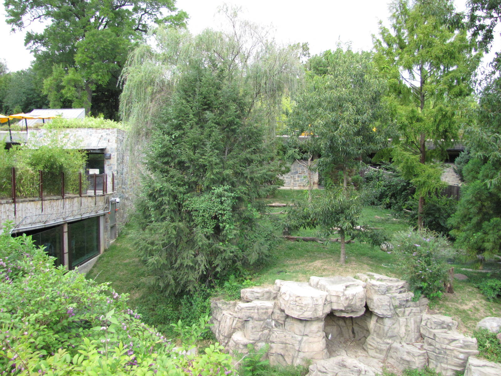 National Zoo 2010 - Part of Fujifilm Giant Panda Habitat in Asia Trail