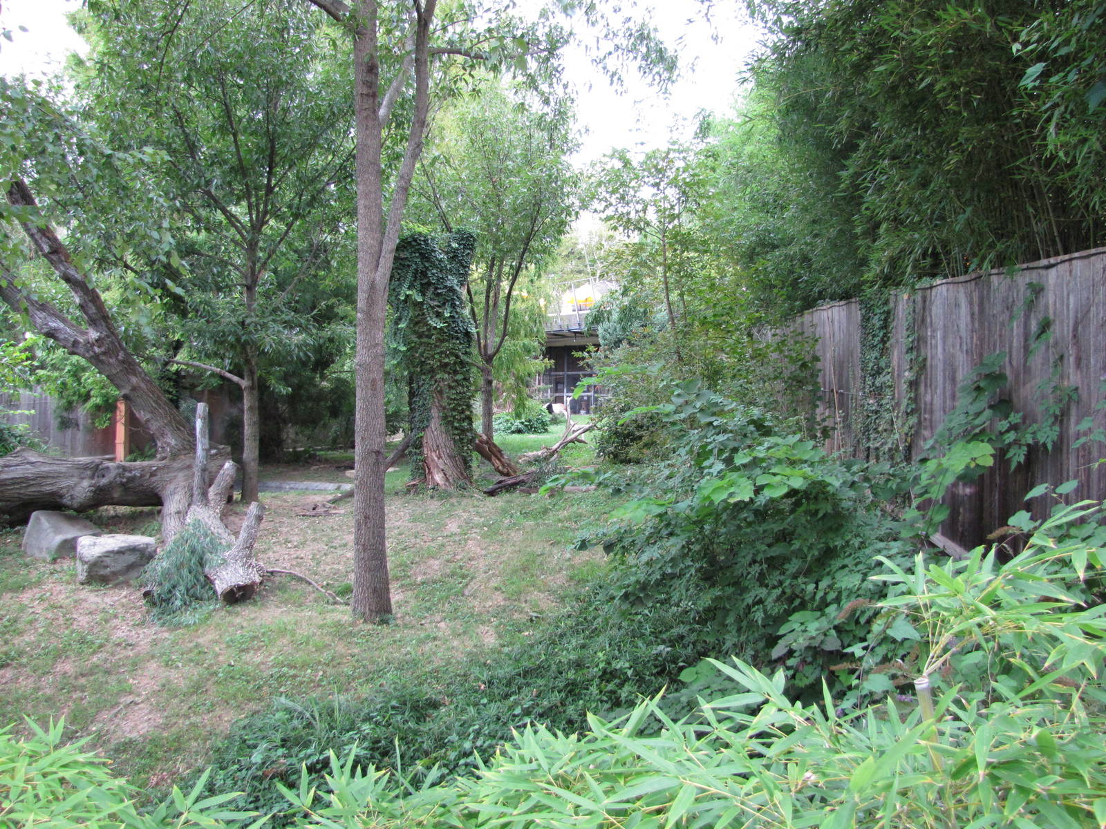 National Zoo 2010 - Part of Fujifilm Giant Panda Habitat in Asia Trail
