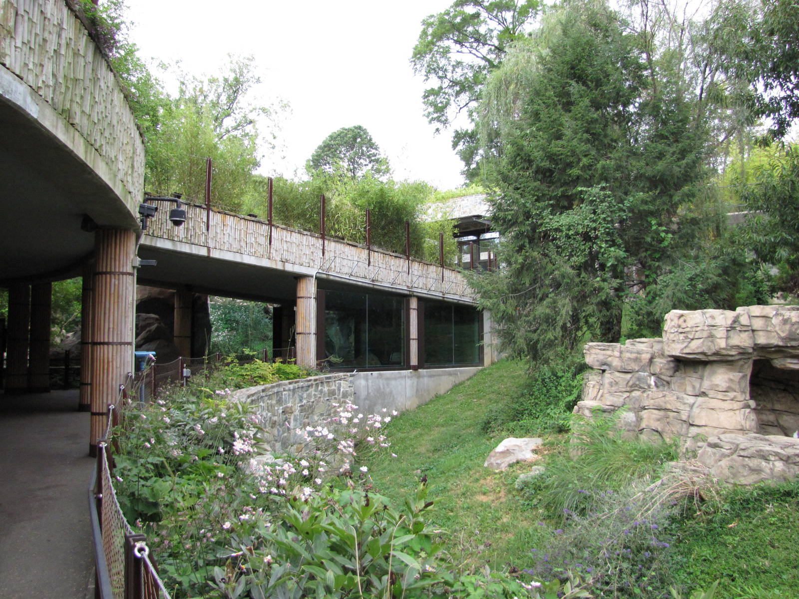 National Zoo 2010 - Part of Fujifilm Giant Panda Habitat in Asia Trail