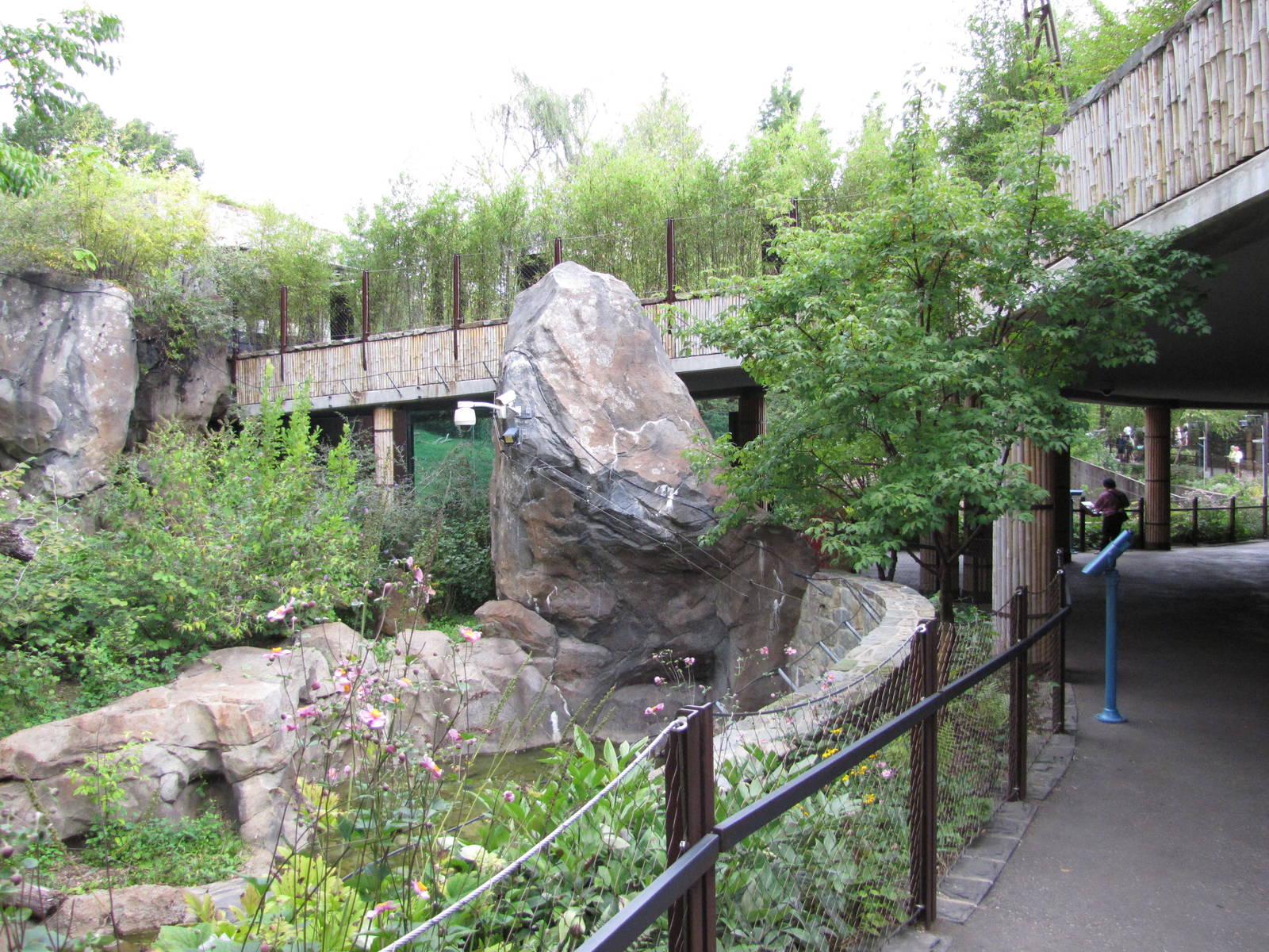 National Zoo 2010 - Part of Fujifilm Giant Panda Habitat in Asia Trail