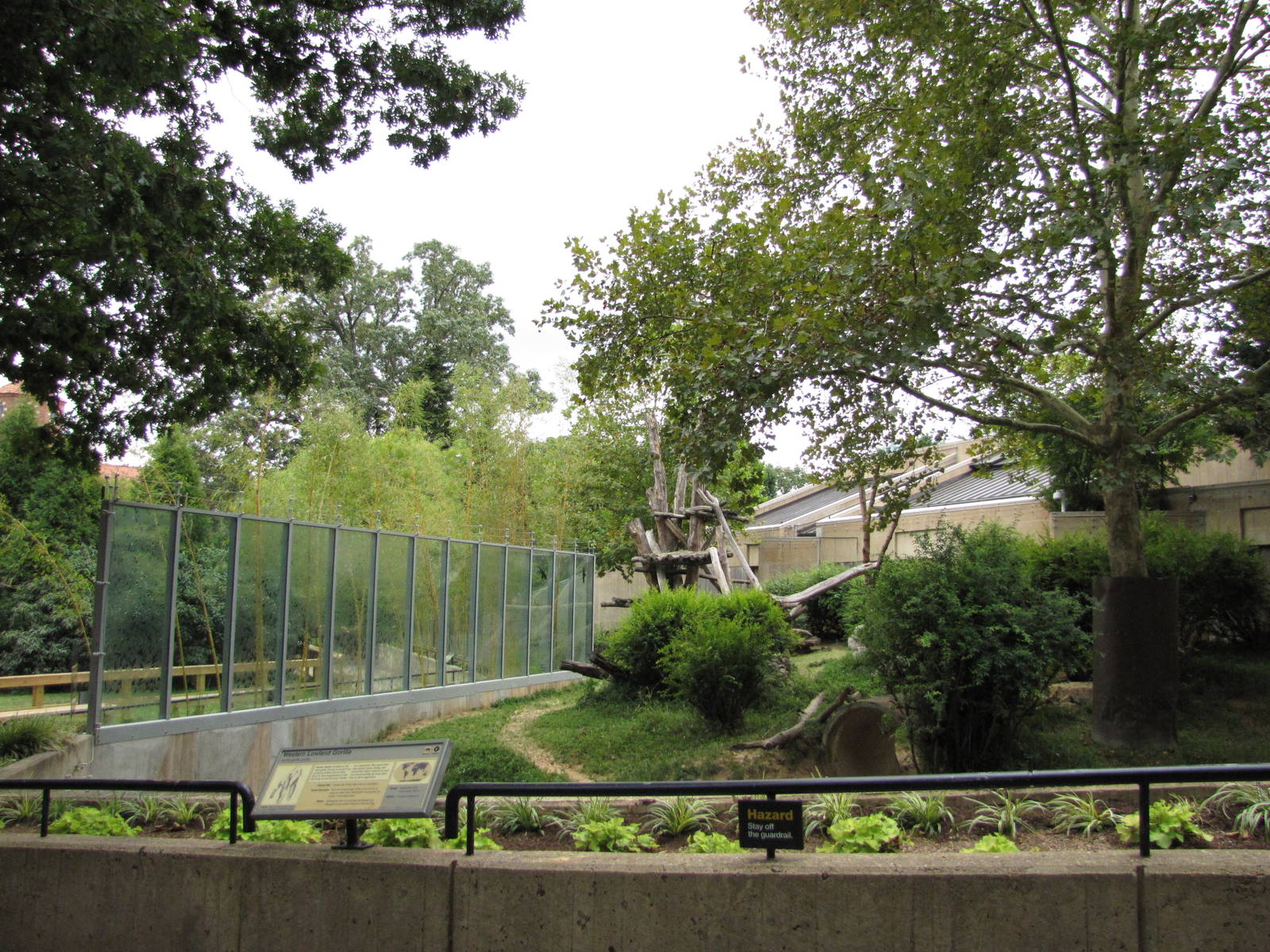 National Zoo 2010 - Part of Gorilla outdoor exhibit