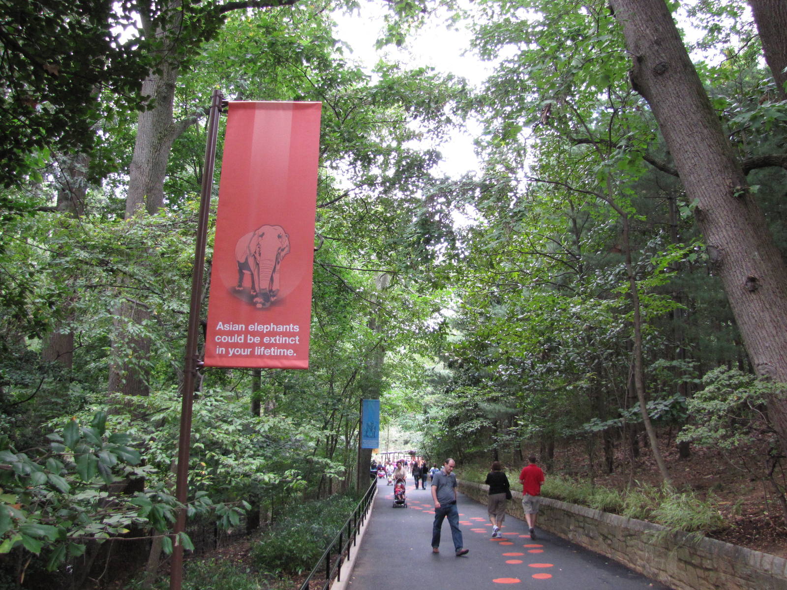 National Zoo 2010 - Pathway to the exhibit in Elephant Trails