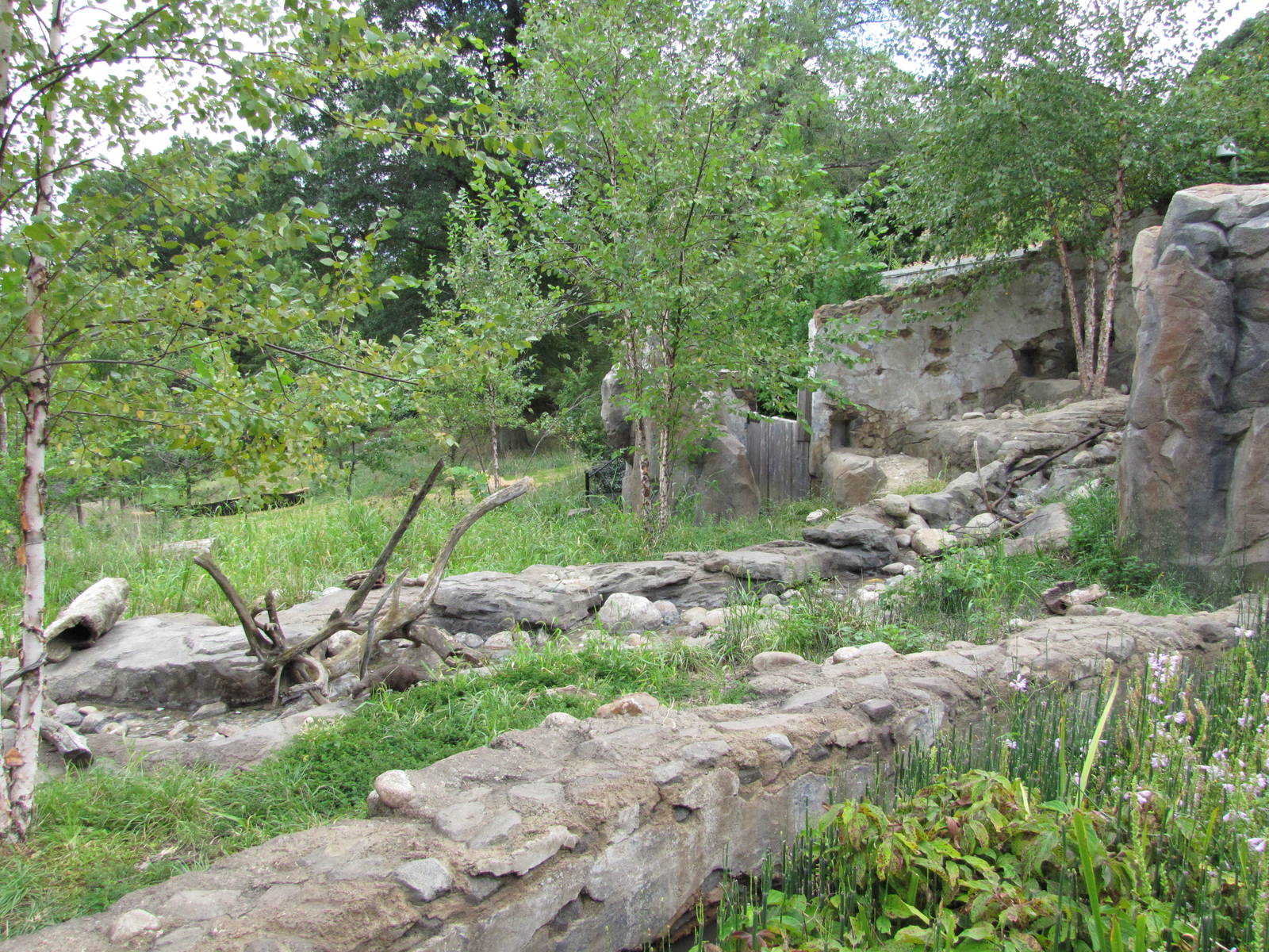 National Zoo 2010 - Side of the Small-clawed Otter exhibit in Asia Trail