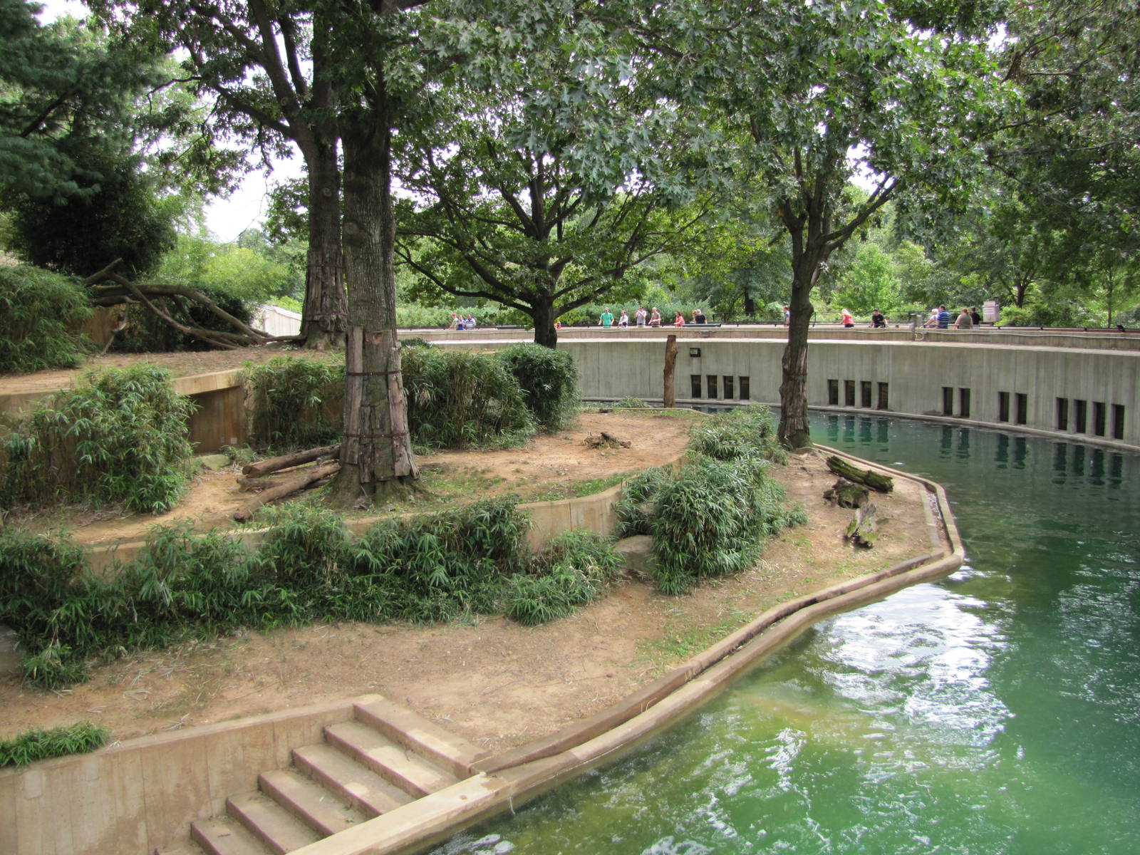 National Zoo 2010 - Sumatran Tiger exhibit