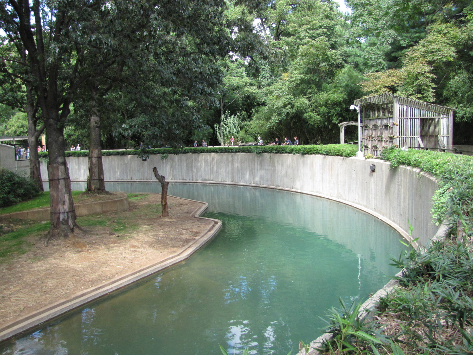 National Zoo 2010 - Sumatran Tiger exhibit