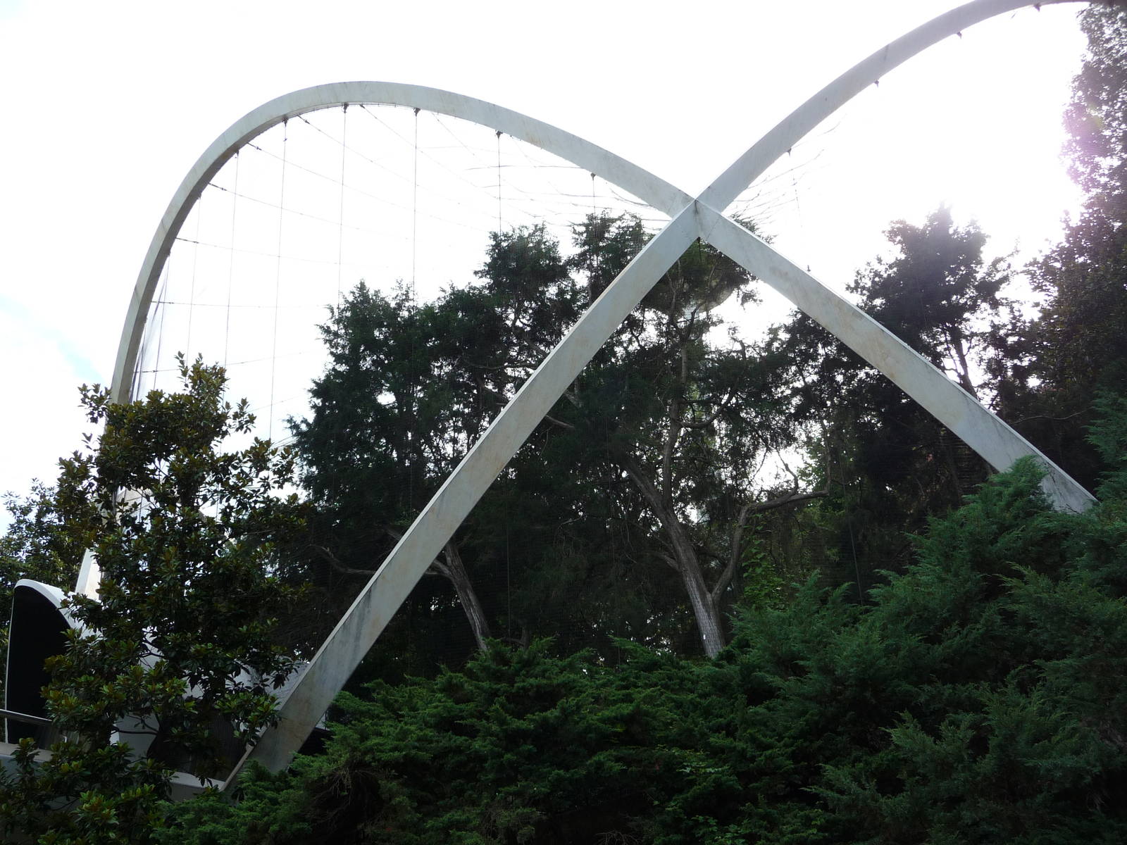 National Zoo - 90-foot high aviary