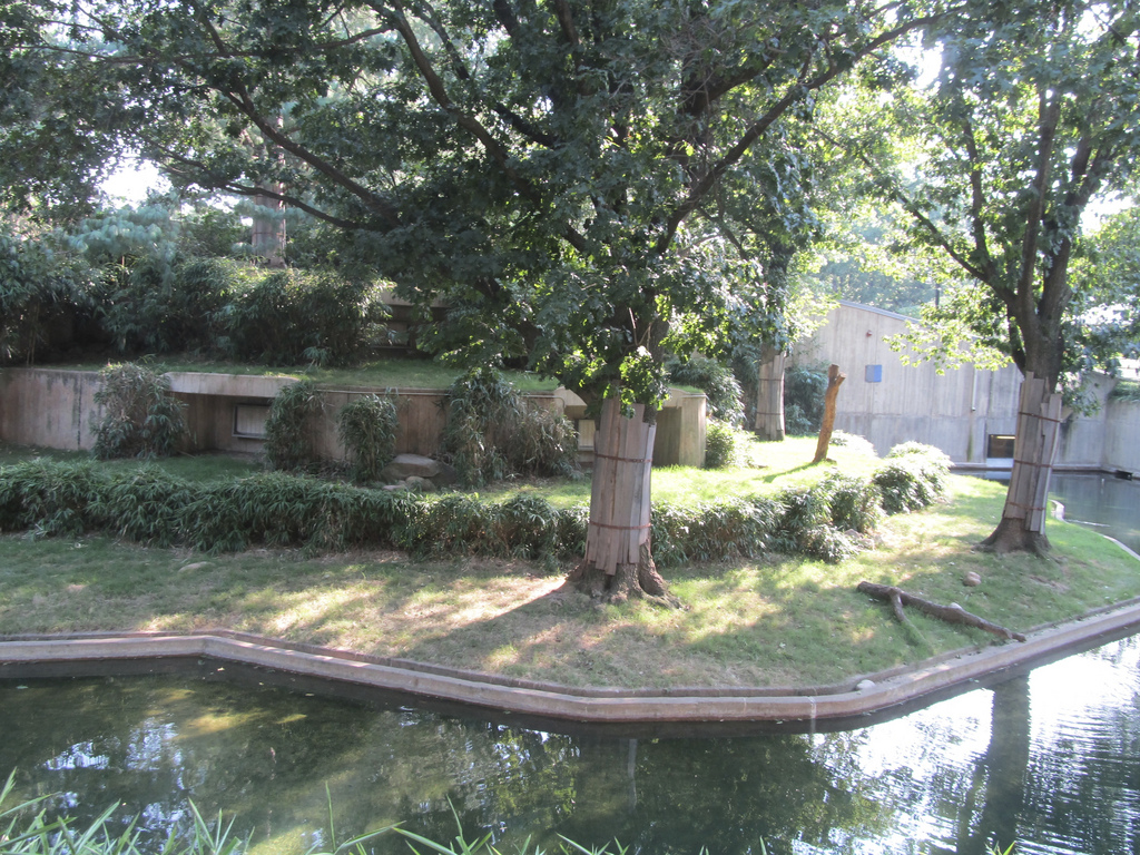 National Zoo: African Lion Exhibit