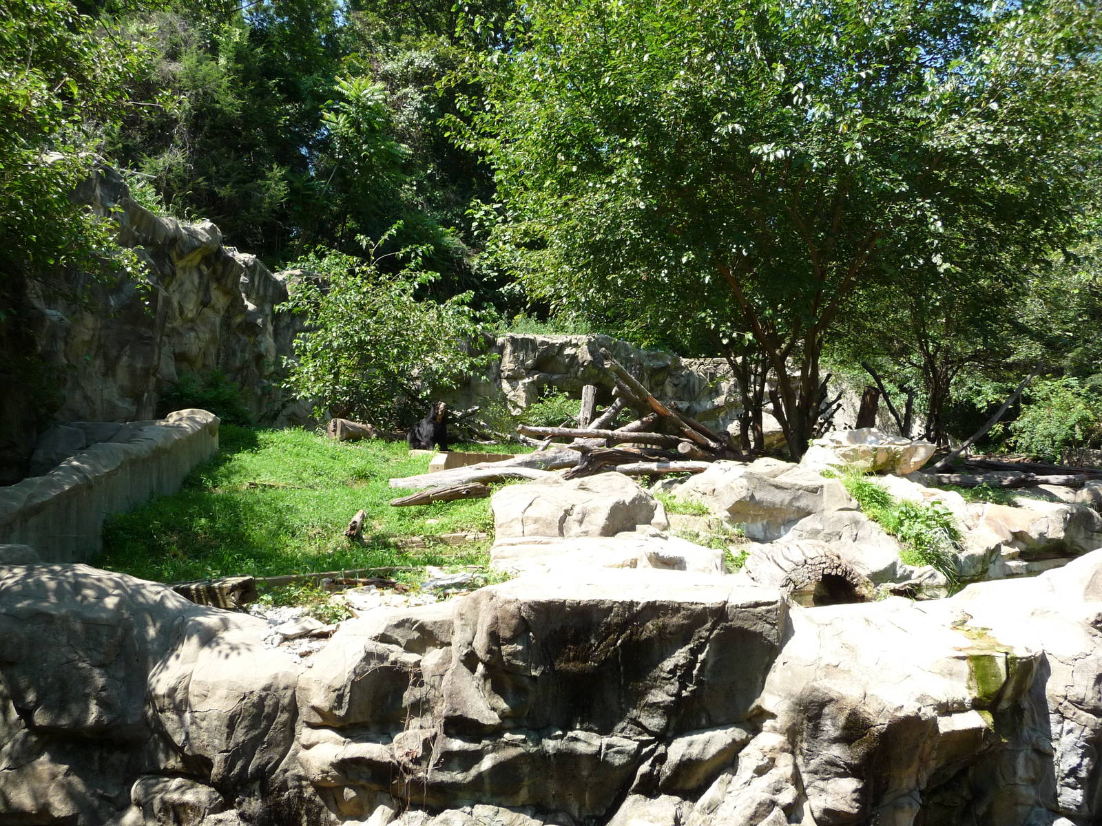 National Zoo - Andean Bear Habitat