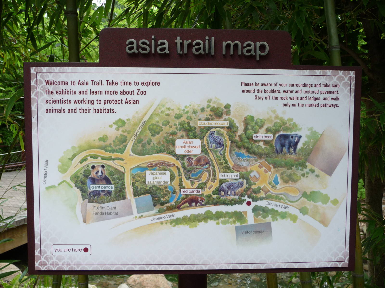 National Zoo - Asia Trail Map