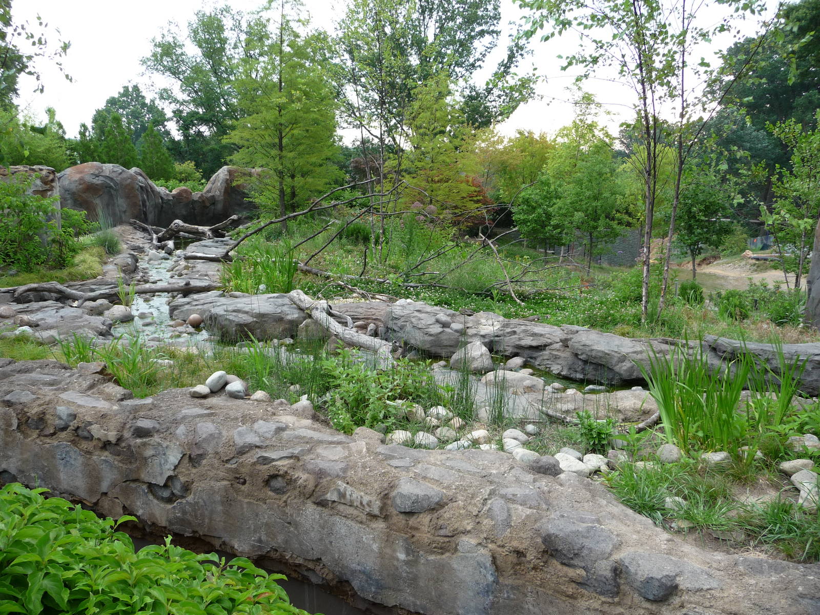 National Zoo - Asian small-clawed otter exhibit