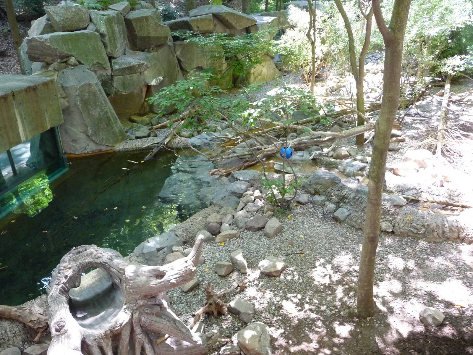 National Zoo - Beaver Exhibit