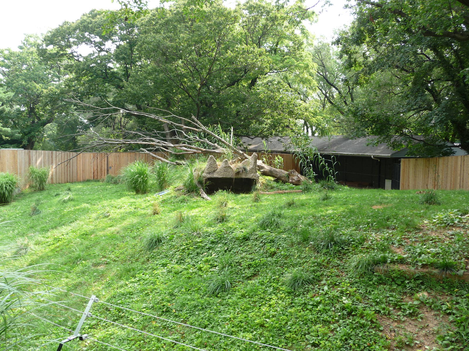 National Zoo - Cheetah Exhibit