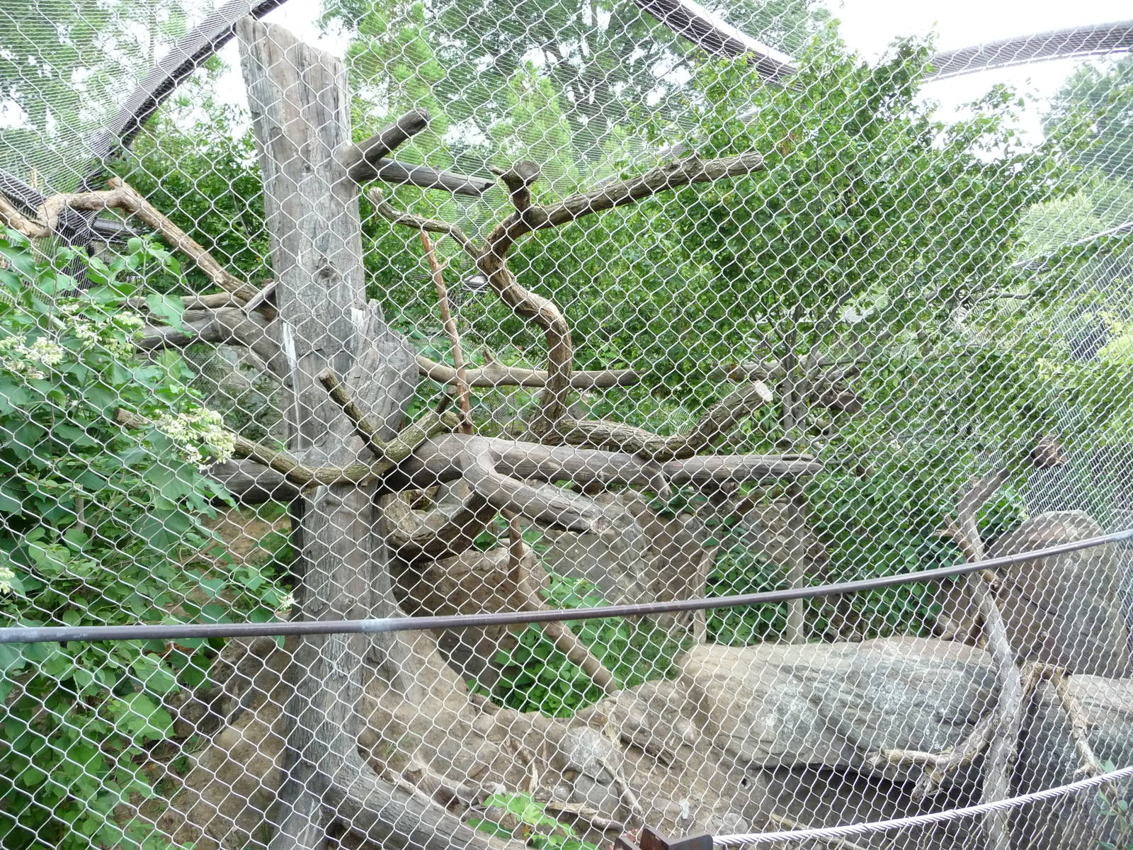 National Zoo - Clouded Leopard Exhibit