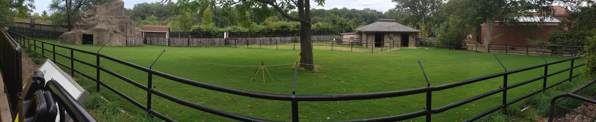 National Zoo - Current state of the Prezwalskis horse yard