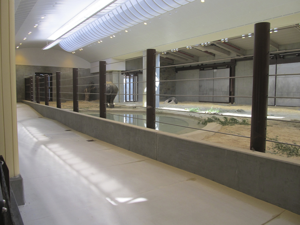 National Zoo: Elephant Community Center