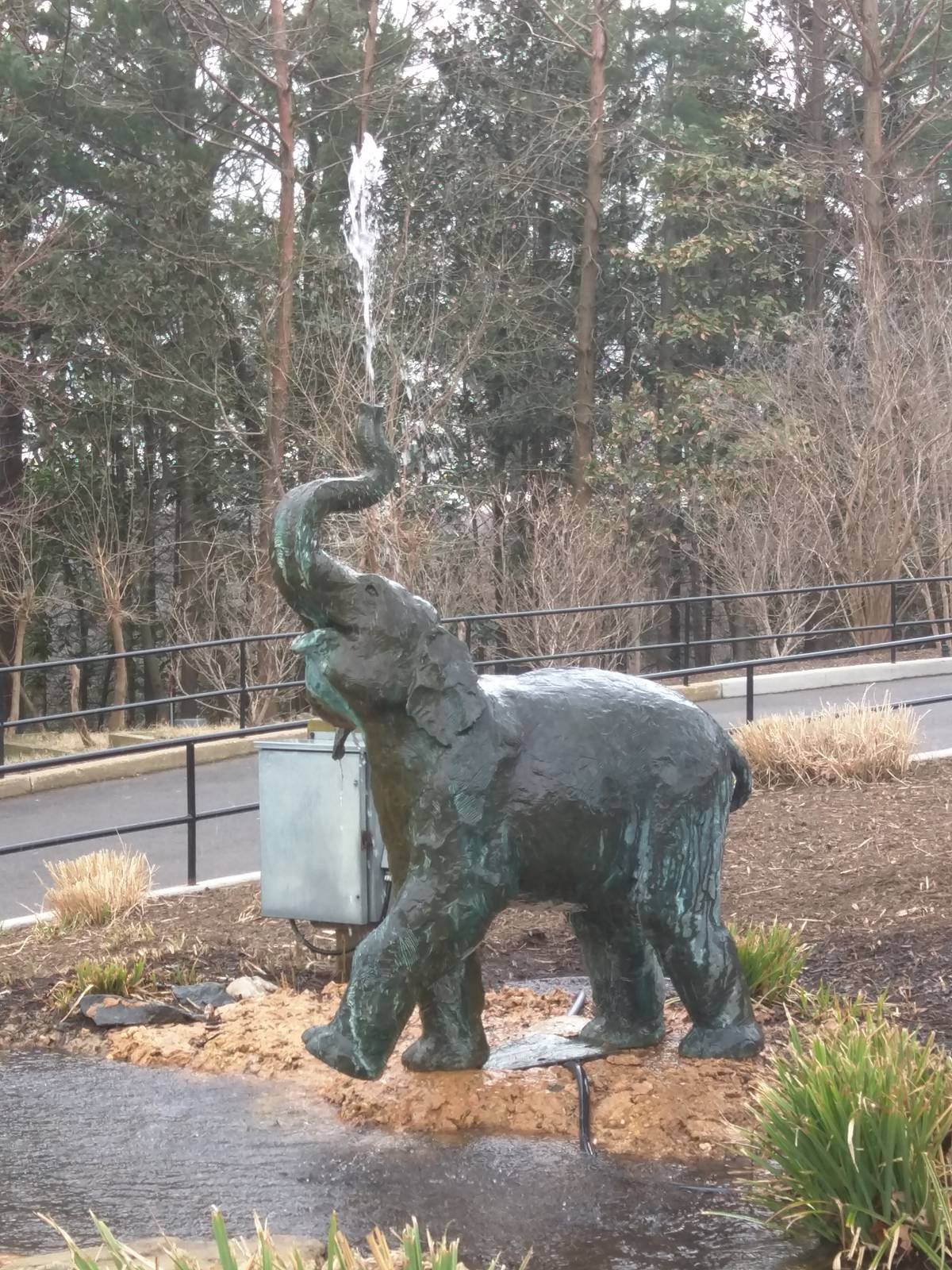 National Zoo - Elephant fountain.