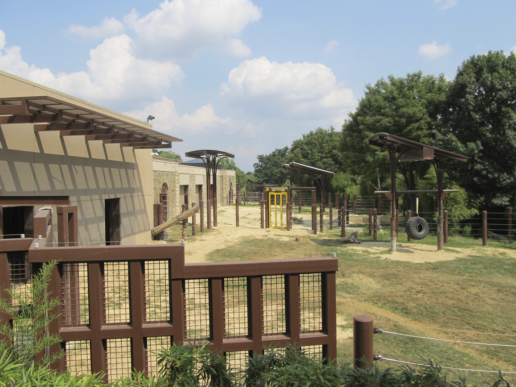 National Zoo: Elephant Trails