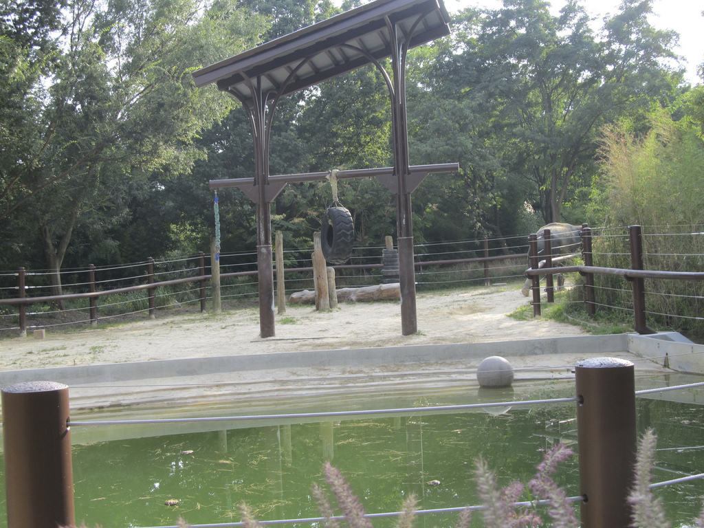 National Zoo: Elephant Trails