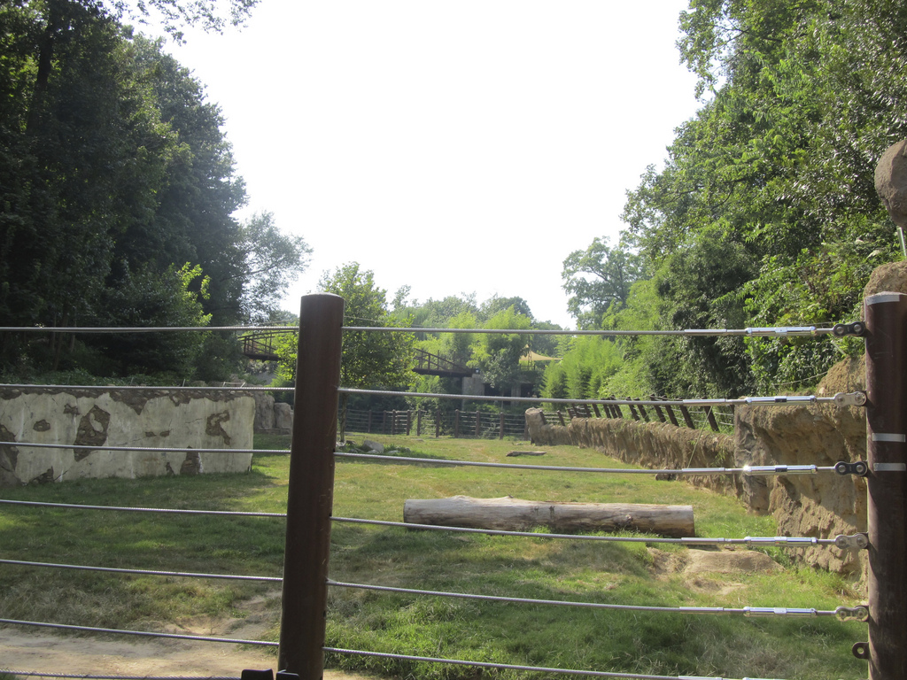 National Zoo: Elephant Trails