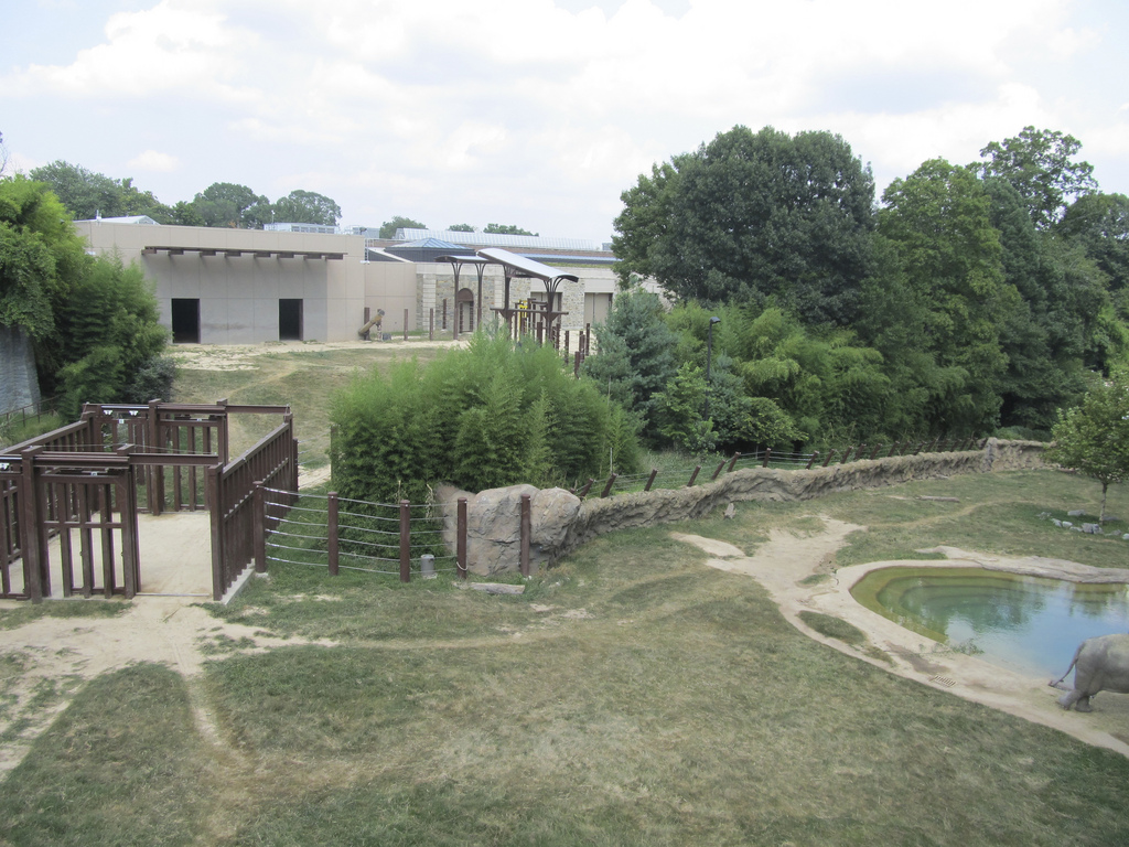 National Zoo: Elephant Trails