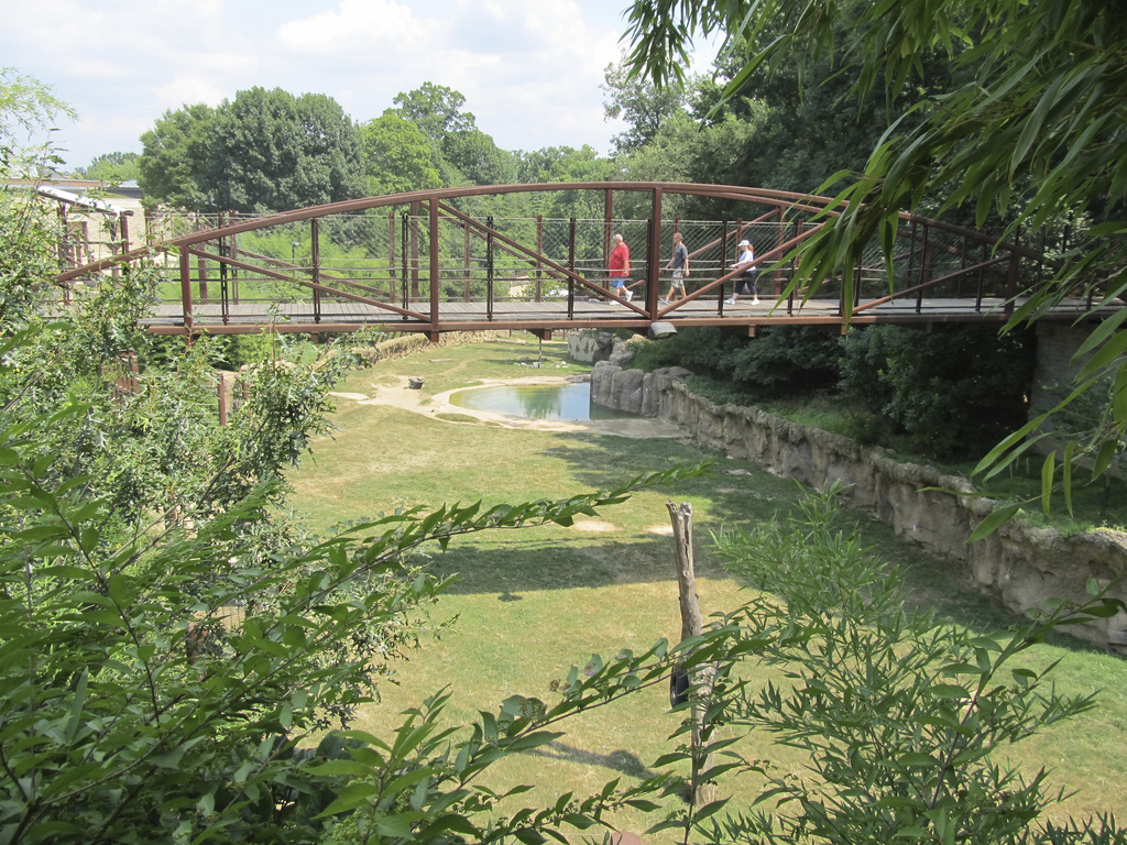 National Zoo: Elephant Trails