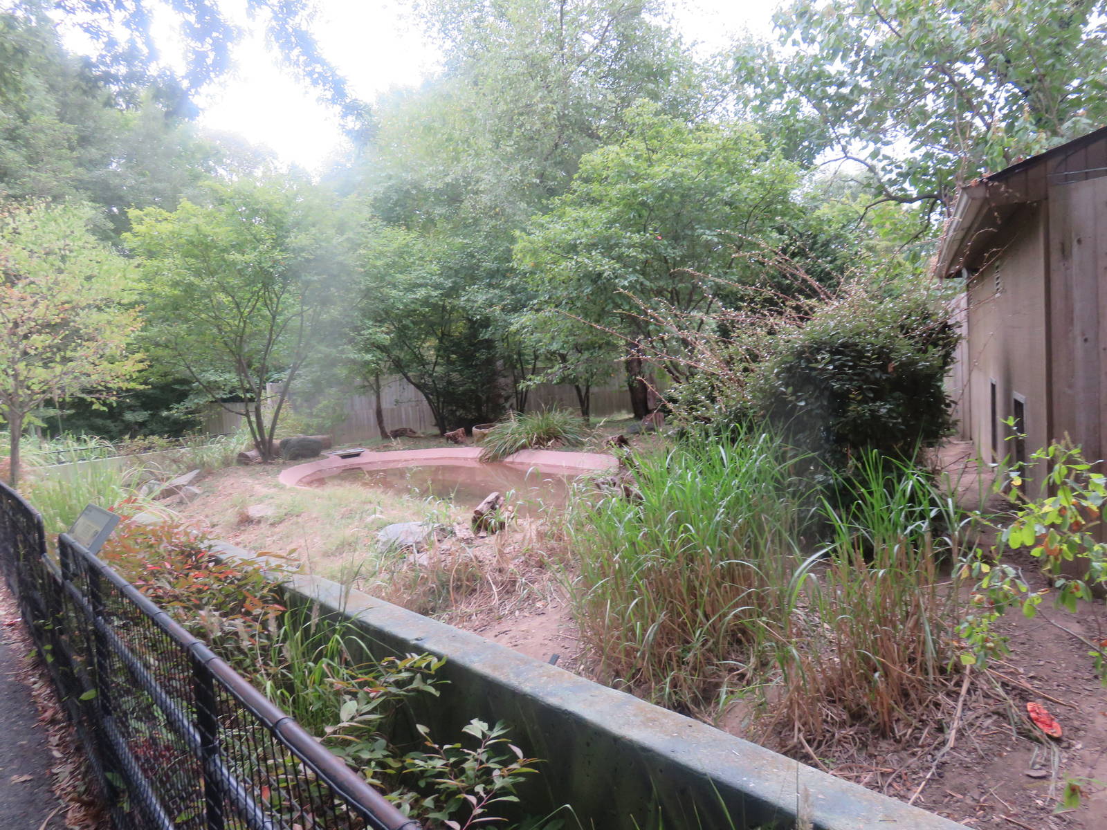 National Zoo - Giant Anteater Exhibit.