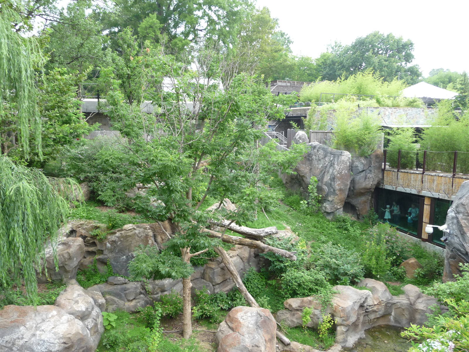 National Zoo - Giant Panda Habitat