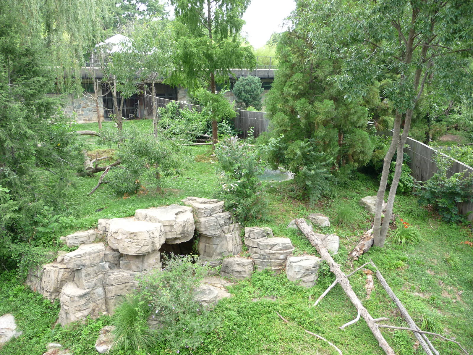 National Zoo - Giant Panda Habitat