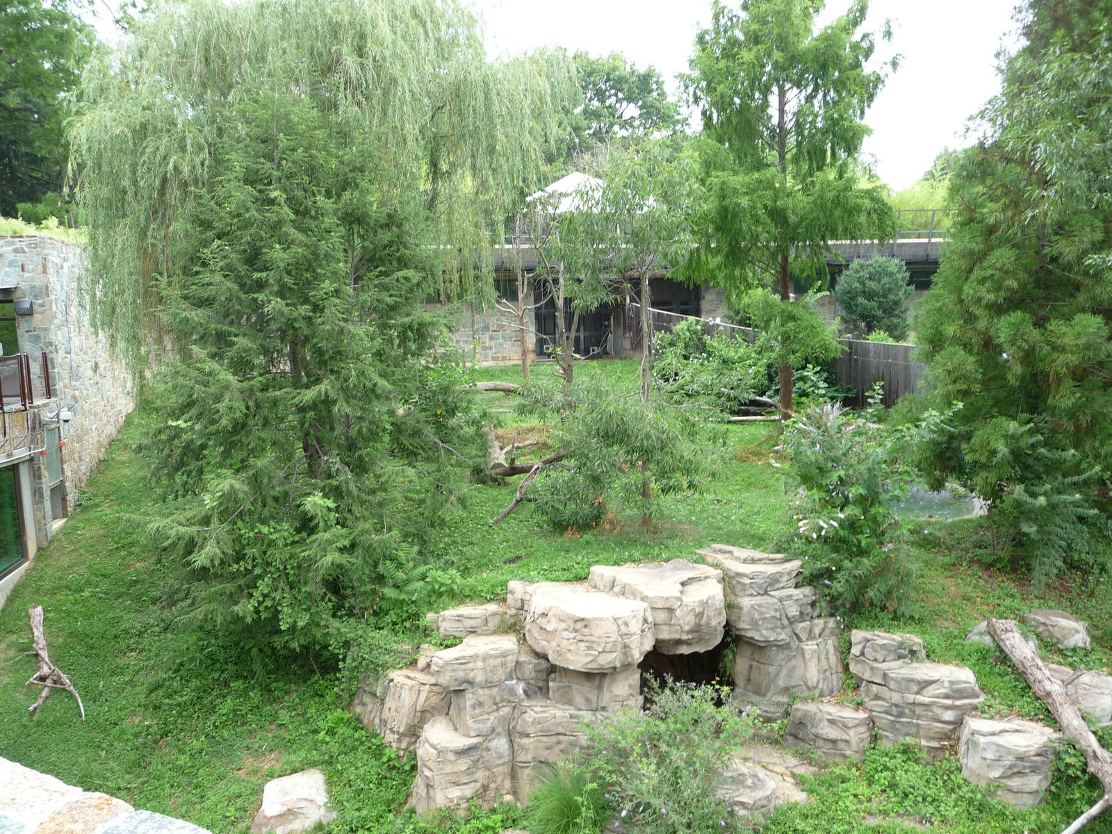 National Zoo - Giant Panda Habitat