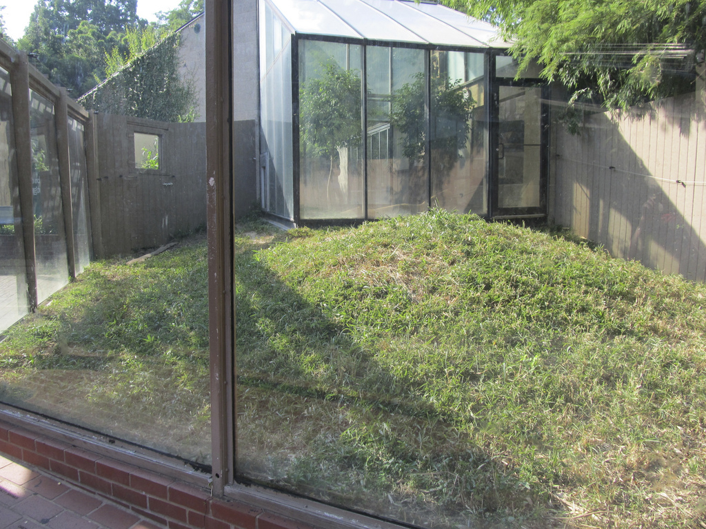 National Zoo: Komodo Dragon Outdoor Exhibit