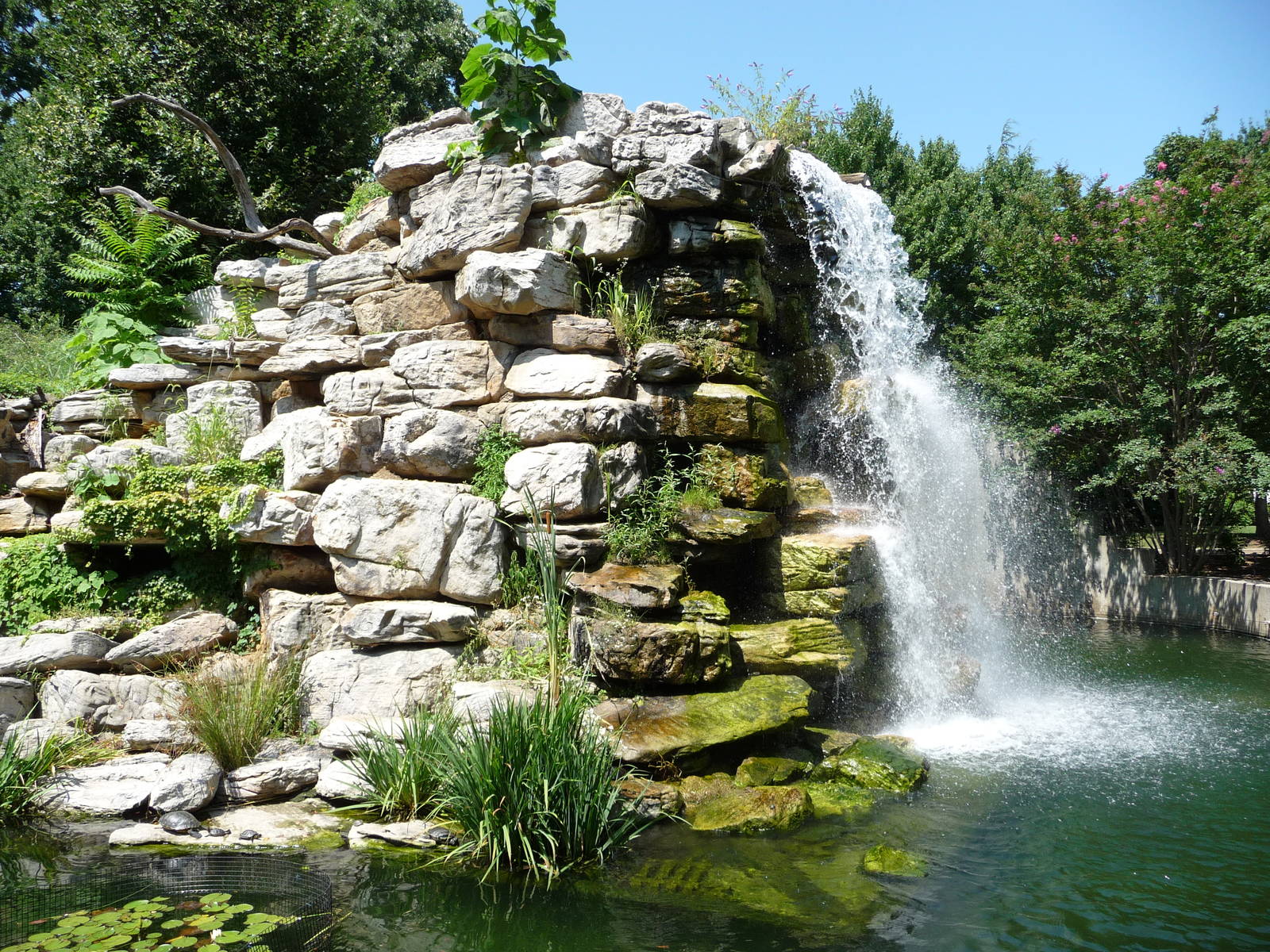 National Zoo - Lemur Island