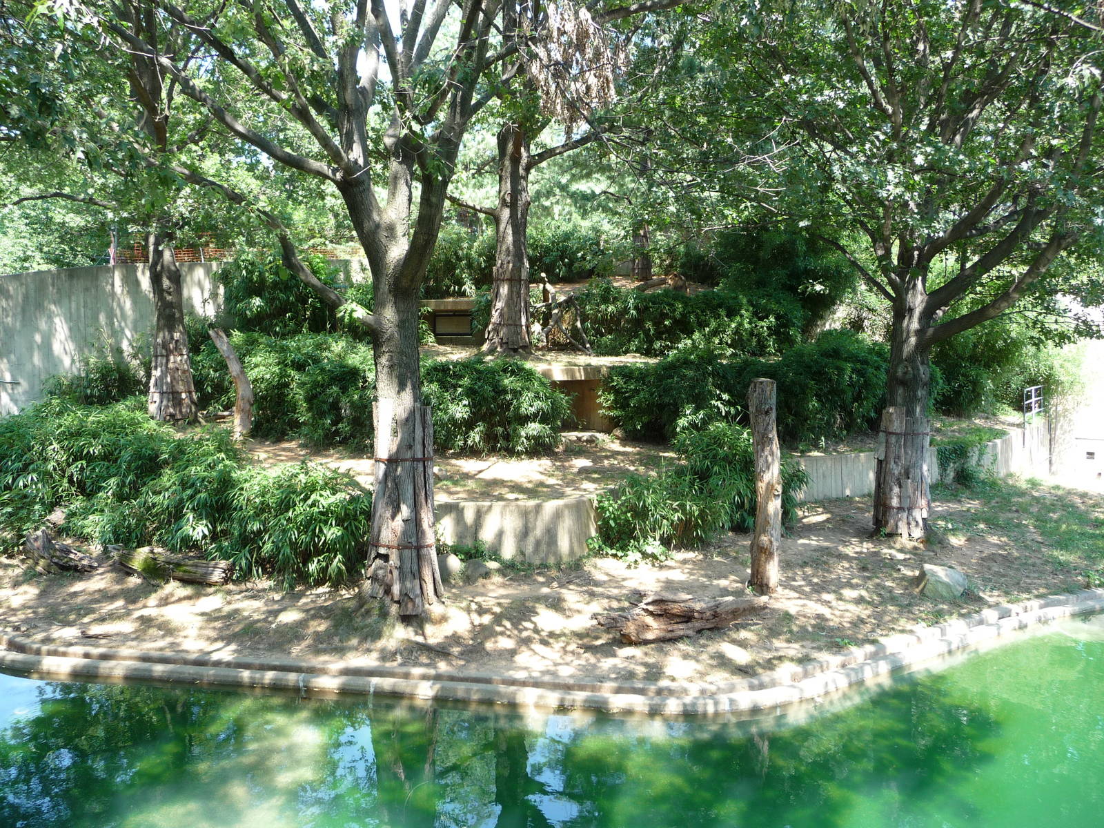 National Zoo - Lion Exhibit