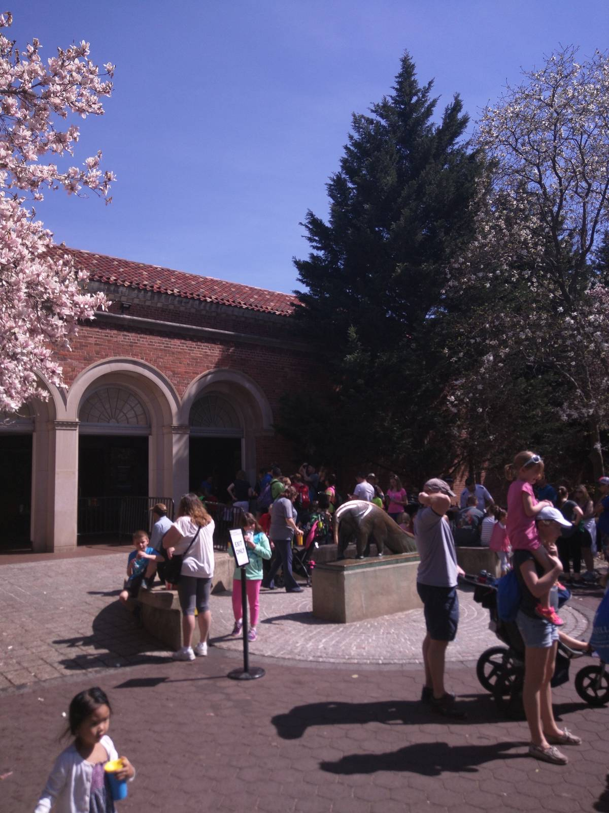 National Zoo - Looks like we're not going to the Small Mammals today.