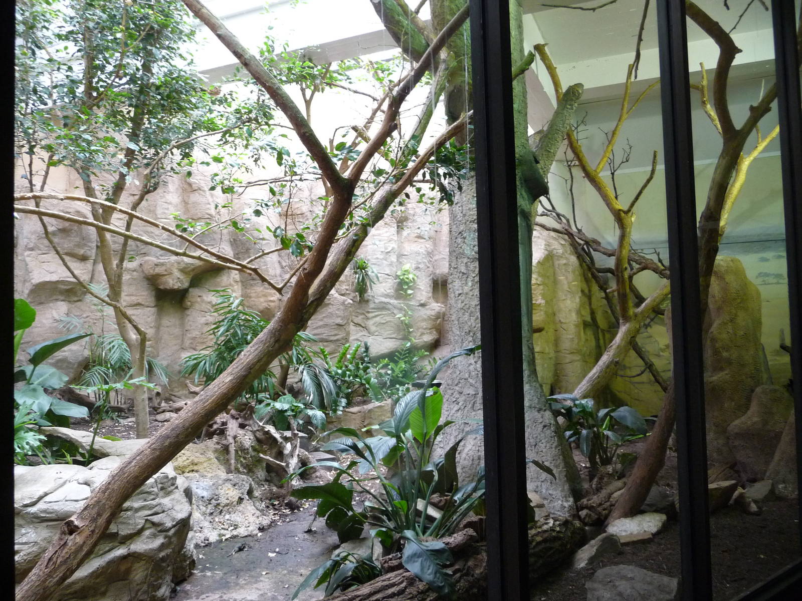 National Zoo - Mixed-Species exhibit