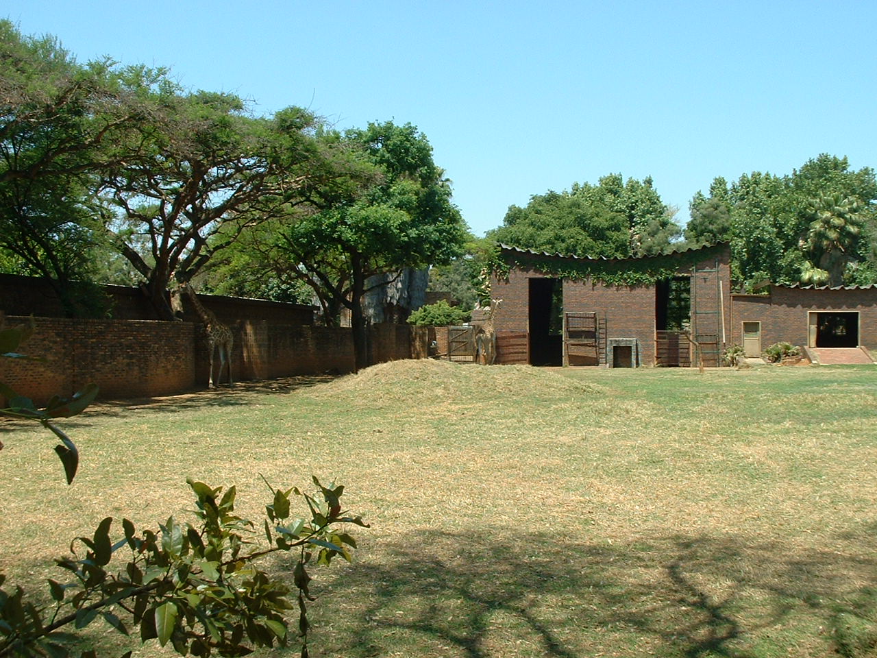 National Zoo of South Africa  - Oct 2011